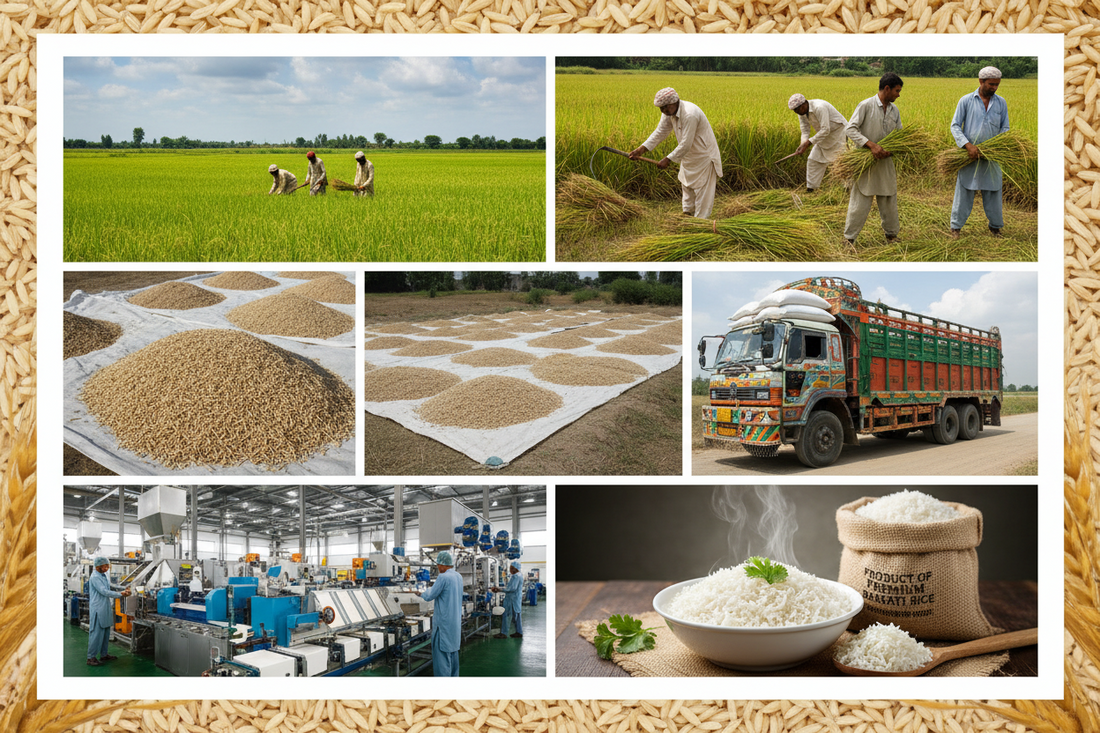 How Pakistani Rice is Imported to Australia: From Farm to Table
